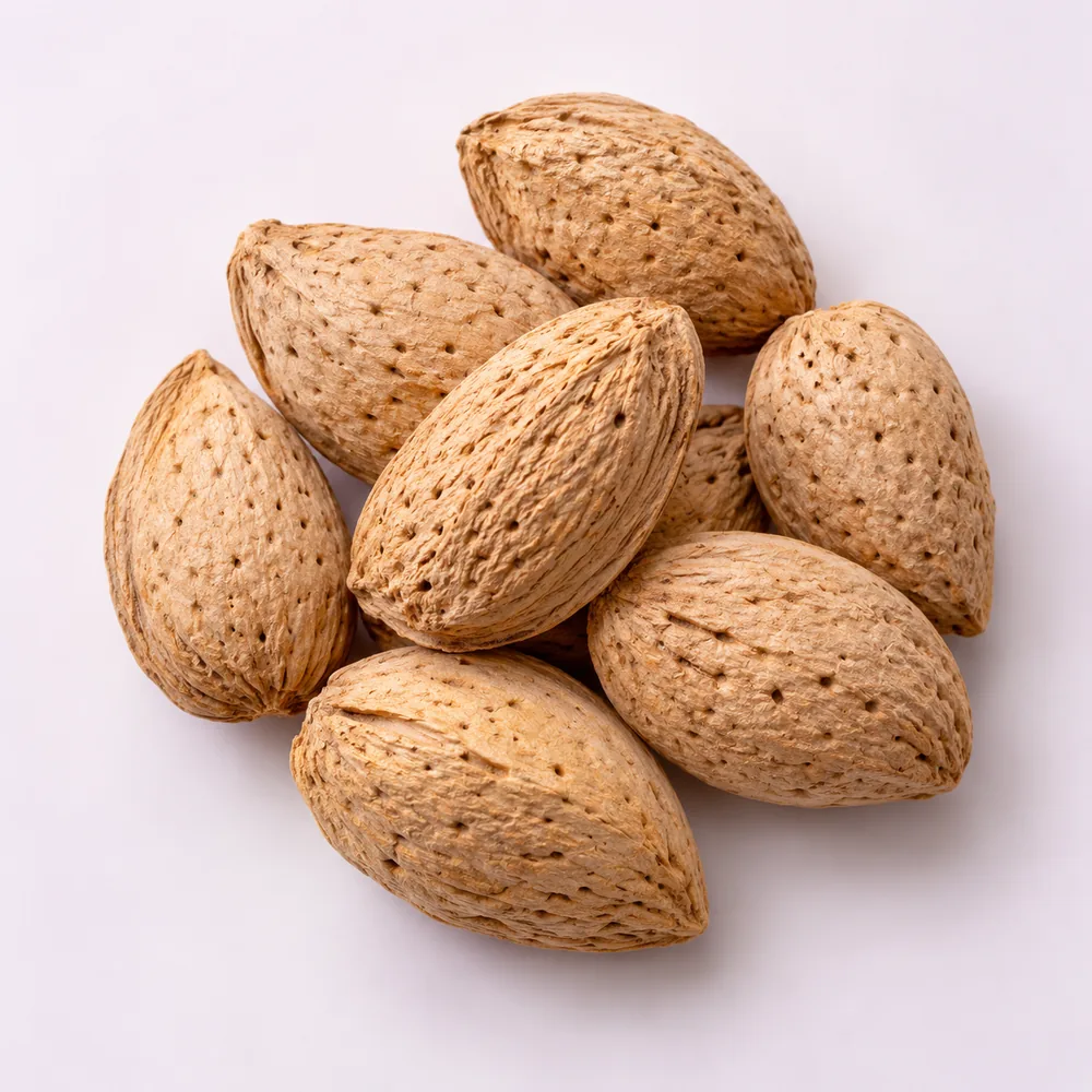 Illustrative photograph of almonds in shell