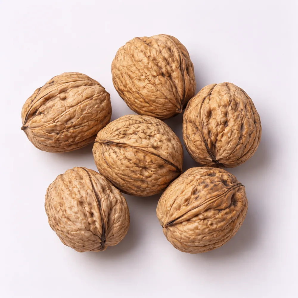 Illustrative photograph of walnuts in shell